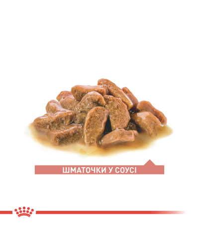 Вологий корм для літніх котів ROYAL CANIN AGEING 11+(від 11 років) 85 г