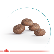 Корм для дорослих стерилізованих котів ROYAL CANIN STERILISED 11+ (віком від 11 років) 2 кг