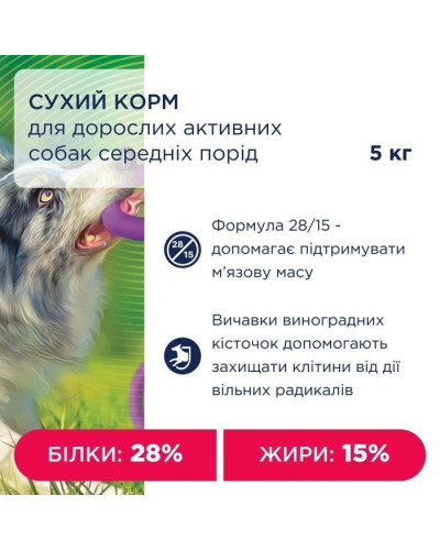 Сухий корм для собак Club 4 Paws Adult Active Medium Breeds 5 кг - курка