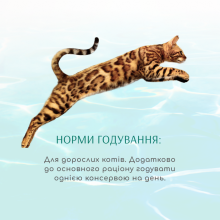 Влажный корм для кошек Optimeal Beauty Fitness 70 г (тунец с креветками)