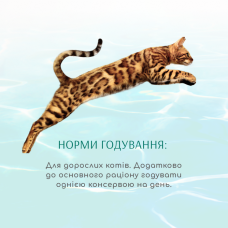 Вологий корм для кішок Optimeal Beauty Fitness 70 г (тунець з креветками)