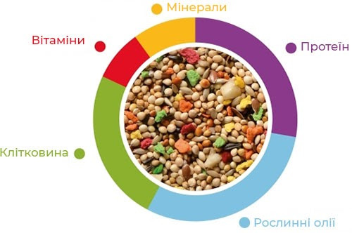 Купить Повседневный корм для экзотических птиц Padovan GrandMix Esotici 1 кг (PP00184) Повседневный корм для экзотических птиц Padovan GrandMix Esotici 1 кг (PP00184)
