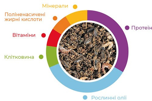 Купить Повседневный корм для насекомоядных птиц Padovan Granpatee Insectes 1 кг (PP00193) Повседневный корм для насекомоядных птиц Padovan Granpatee Insectes 1 кг (PP00193)