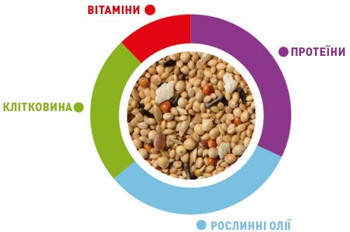Купить Корм для экзотических птиц Padovan SunMix esotici 850 г (PP00586) Корм для экзотических птиц Padovan SunMix esotici 850 г (PP00586)