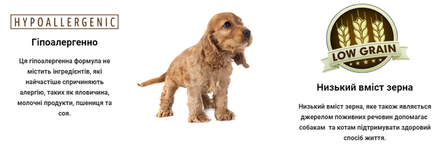 Купить Сухой корм для взросл малоактивных собак суперпремиум класса BonaCibo Adult Dog Form Курица 4 кг (BC406182) Сухой корм для взросл малоактивных собак суперпремиум класса BonaCibo Adult Dog Form Курица 4 кг (BC406182)