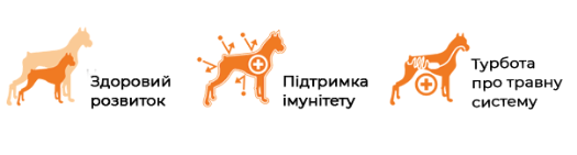 Купить Сухой корм для щенков всех пород суперпремиум класса BonaCibo Puppy Курица 15 кг (BC405703) Сухой корм для щенков всех пород суперпремиум класса BonaCibo Puppy Курица 15 кг (BC405703)