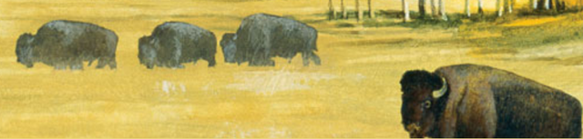 Купить Сухой корм для взрослых собак всех пород Taste of the Wild High Prairie Canine бизон/олень 12,2 кг (9751-HT60) Сухой корм для взрослых собак всех пород Taste of the Wild High Prairie Canine бизон/олень 12,2 кг (9751-HT60)