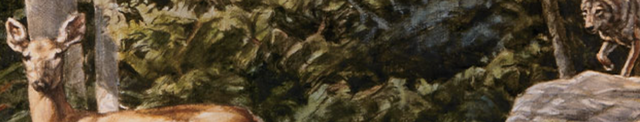 Купить Сухой корм для собак всех пород Taste of the Wild Pine Forest Canine оленина 5,6 кг (9762-HT77) Сухой корм для собак всех пород Taste of the Wild Pine Forest Canine оленина 5,6 кг (9762-HT77)