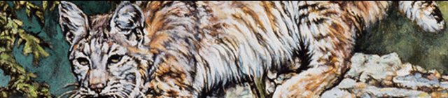 Купить Сухой корм для кошек всех пород Taste of the Wild Lowland Creek Feline перепелка и утка 6,6 кг (9768-HT77) Сухой корм для кошек всех пород Taste of the Wild Lowland Creek Feline перепелка и утка 6,6 кг (9768-HT77)