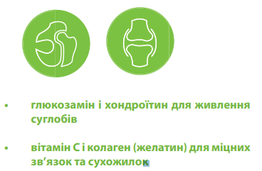 Хондропротектор Canvit Chondro для собак таблетки 100 г (can50729)