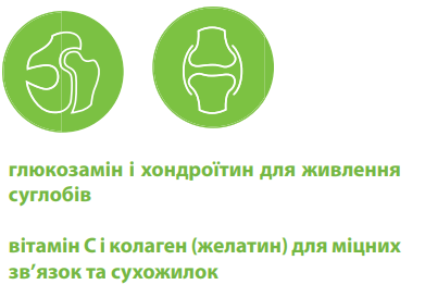 Хондропротектор Canvit Chondro Maxi для собак таблетки 1 кг (can50732)