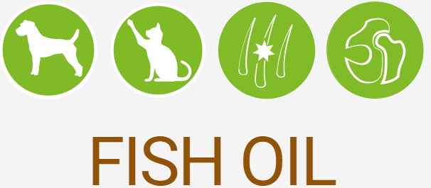 Купить Комплекс Омега-3 жирных кислот Canvit Fish Oil для собак 250 мл (can57277) Комплекс Омега-3 жирных кислот Canvit Fish Oil для собак 250 мл (can57277)