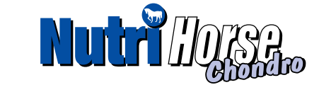 Купить Кормовая добавка Nutri Horse Chondro для лошадей 1 кг (can51141) Кормовая добавка Nutri Horse Chondro для лошадей 1 кг (can51141)