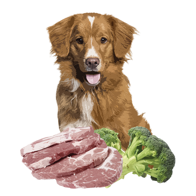 Купить Корм для взрослых собак ORYGO Pork Cвинина и брокколи полувлажный 8 кг (ORYGD030000847) Корм для взрослых собак ORYGO Pork Cвинина и брокколи полувлажный 8 кг (ORYGD030000847)