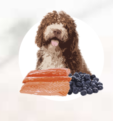 Полнорационный влажный корм Orygo Salmon Pate с лососем и черникой для взрослых собак 400 г (ORYGD060003212)