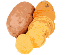 Купить Корм для щенков ORYGO Puppies с лососем и бататом полувлажный (200г х18) 3,6 кг (ORYGD030030046) Корм для щенков ORYGO Puppies с лососем и бататом полувлажный (200г х18) 3,6 кг (ORYGD030030046)