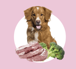 Полнорационный влажный корм Orygo Pork Pate со свининой и брокколи для взрослых собак 400 г (ORYGD060009112)