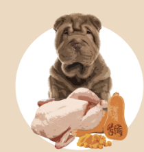 Полнорационный влажный корм Orygo Turkey Pate с индейкой и тыквой для взрослых собак 400 г (ORYGD060009012)