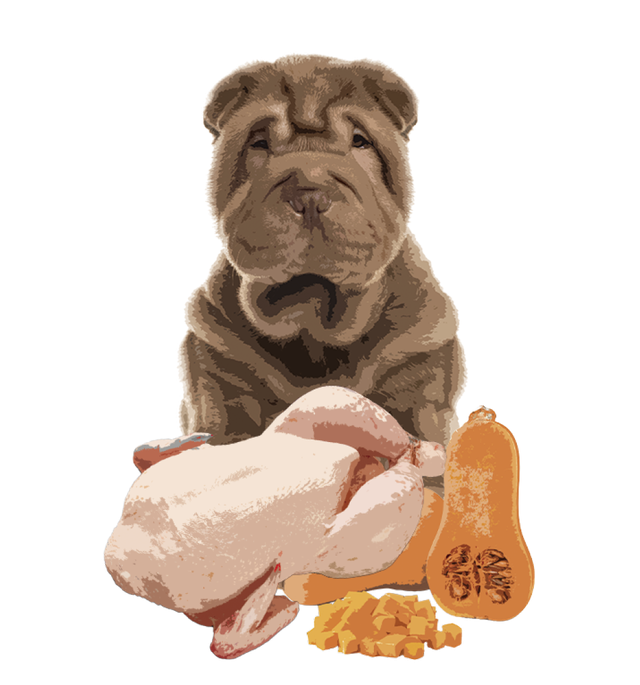 Полнорационный влажный корм Orygo Turkey Pate с индейкой и тыквой для взрослых собак 400 г (ORYGD060009012)