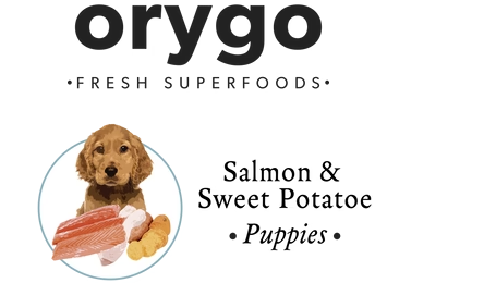 Купить Полнорационный влажный корм Orygo Puppies Pate с лососем и бататом для щенков 400 г (ORYGD060030012) Полнорационный влажный корм Orygo Puppies Pate с лососем и бататом для щенков 400 г (ORYGD060030012)